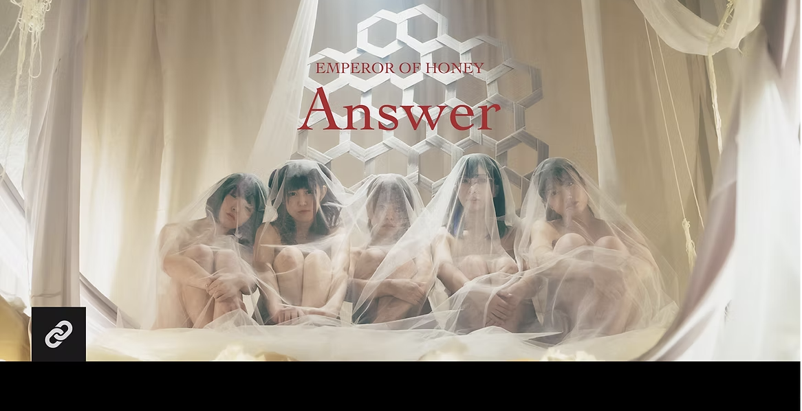 Answer/蜂蜜★皇帝